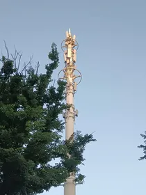 不悔不憾梦归处