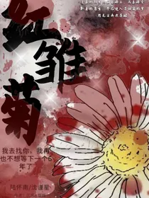 红雏菊