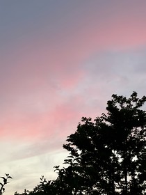 快穿之躺在怀里拯救爱而不得男配