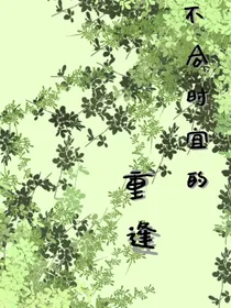 不和事宜的重逢