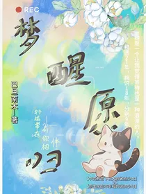 梦醒愿归