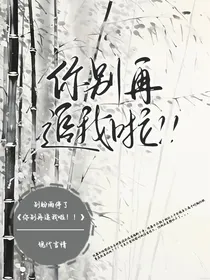 你别再追我啦！！