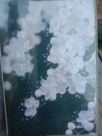 怀来之意
