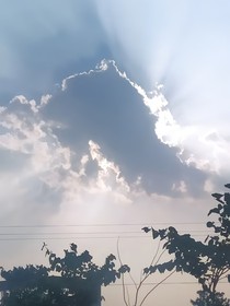 风里密码（短篇）