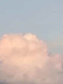 浮云风逐