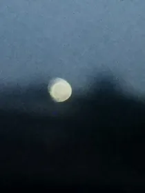 喻雨风舟