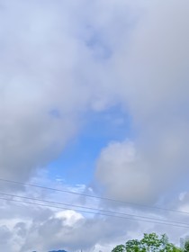 小甜文555