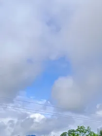 小甜文555