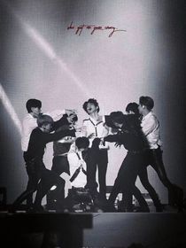 EXO：降落玫瑰人间