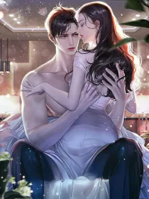 冷爷，夫人她扮猪吃老虎