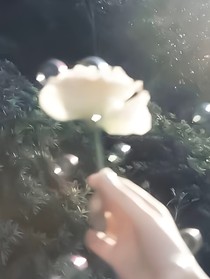 月光钢琴