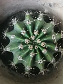 泽闲