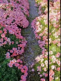 all凯风——重获新生