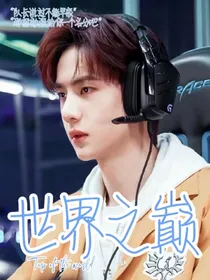 王一博：世界之巅