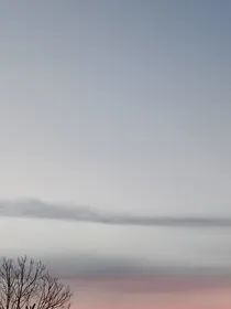 长夏格桑