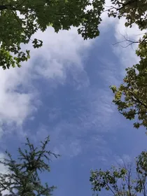 我的恋日记