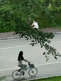 高中岁月