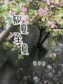 知夏至夏