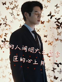 我的人间烟火之孟宴臣的心上月