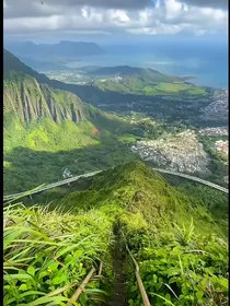 灵兽公主