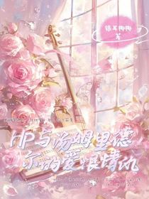 HP与汤姆里德尔的爱恨情仇