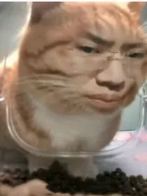 重生之末日生存1