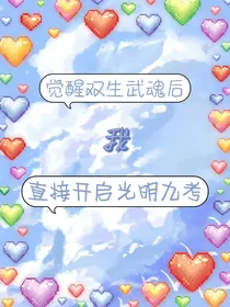 觉醒双生武魂后我直接开启光明九考