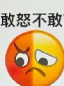 朱苏随笔