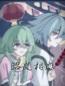 张昭和叶岚的恋爱