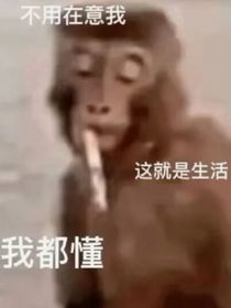 一只吗喽在癫公癫婆中生存