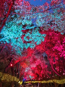 神界的聊天群日常