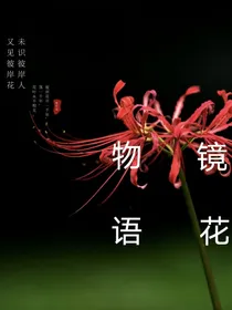 镜花物语