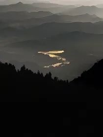 唯一的卿