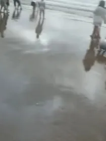 本不应该遇见