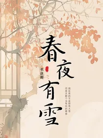 春夜有雪书评阁