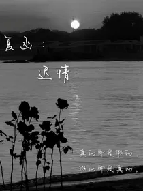 复函：迟情
