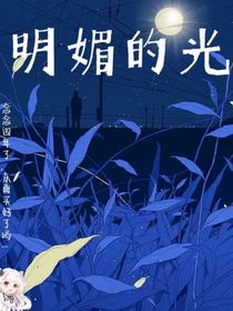 明媚的光