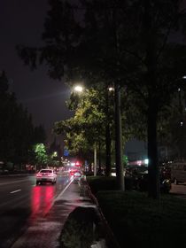 枝春知雨