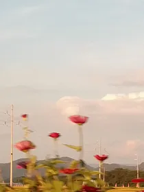 媚魅