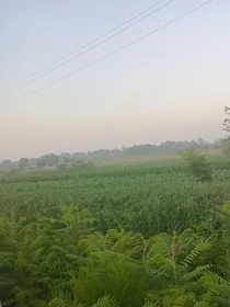 我名无渡
