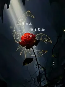 重生之我是反派大小姐