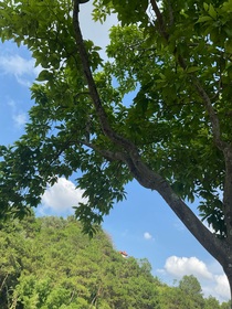 关于学生时代的我的舔狗四年后成为了顶流