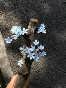 疯批影帝病态爱