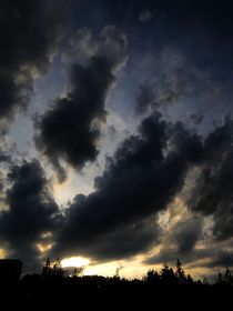 相与还之朝圣