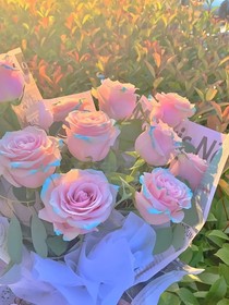 落幕的芳香
