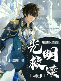 神印之光明救赎