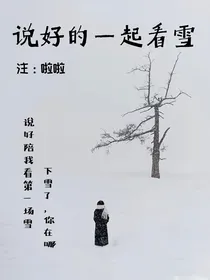 说好的一起看雪