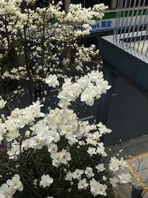NCT：团宠的一日生活