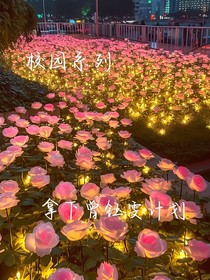 校园系列之：拿下曾钰雯计划