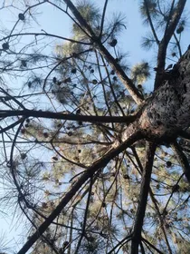 随意短篇